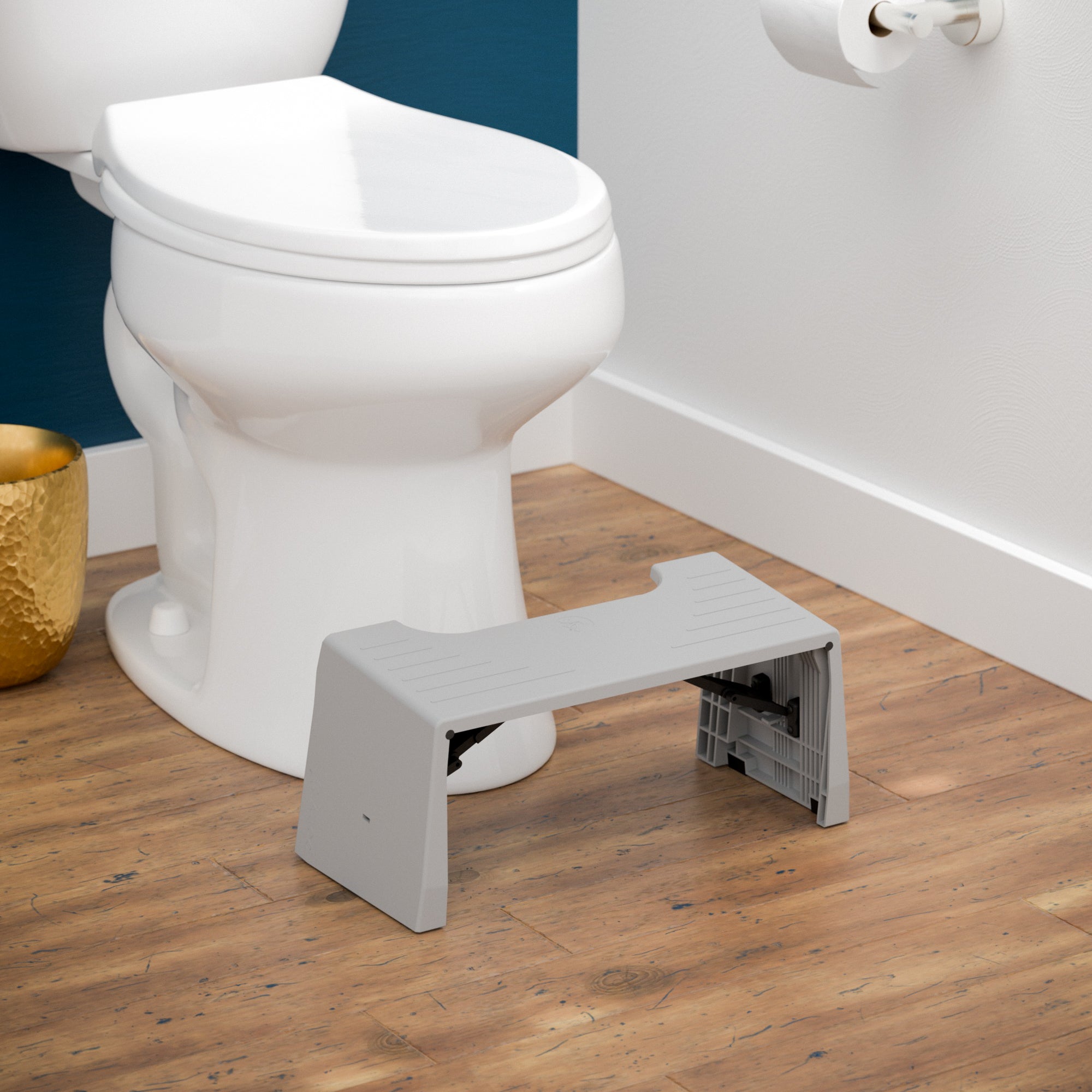 TRAVEL PORTA SQUATTY? - Image 2